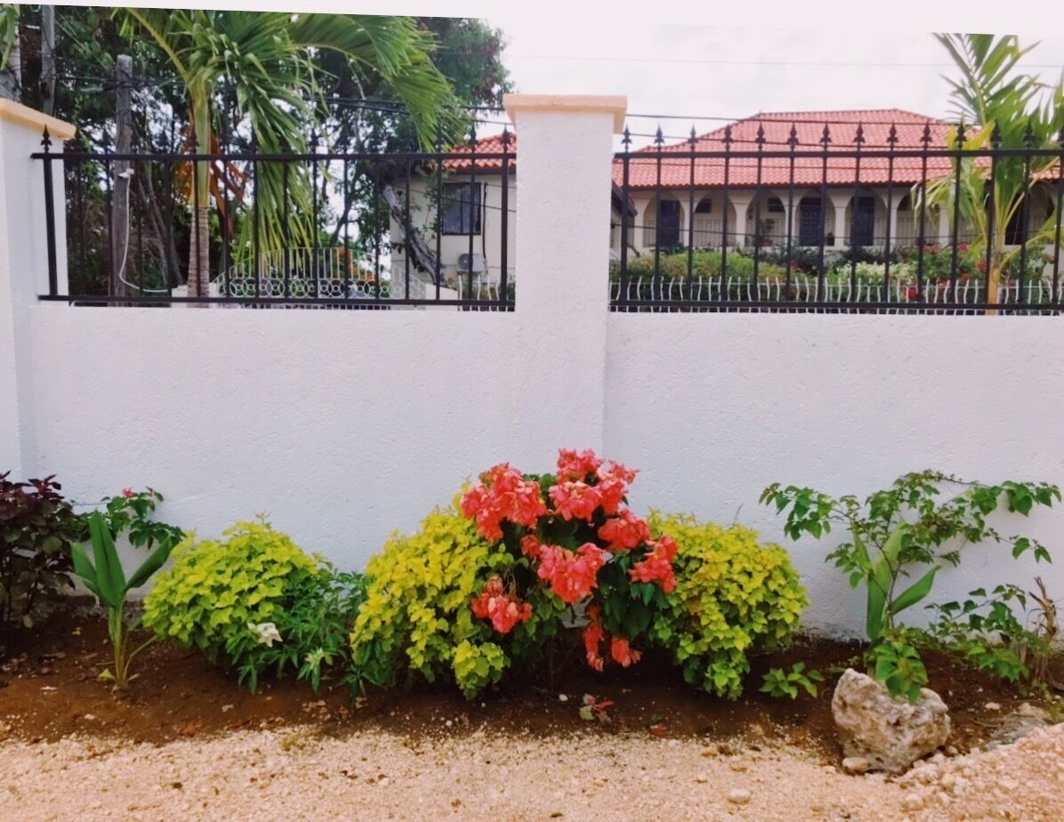 A white wall with a black metal fence, a red-roofed building in the background, and various plants in front.