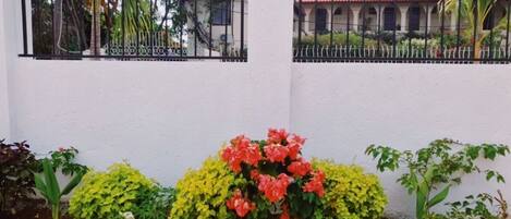 A white wall with a black metal fence, a red-roofed building in the background, and various plants in front.