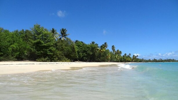 Beach - Résidence Le Royaume du Soleil (Sainte-Anne)