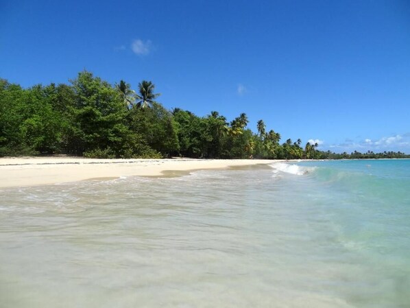 Beach - Résidence Le Royaume du Soleil (Sainte-Anne)