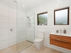 Shower, hair dryer