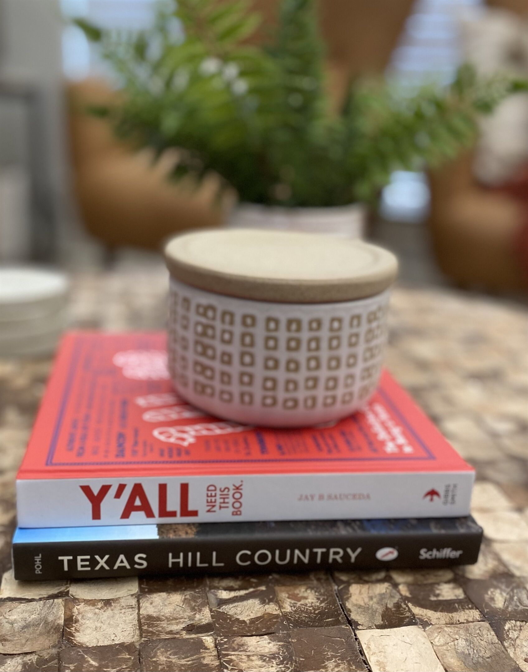 A stack of books with a potted plant on top.