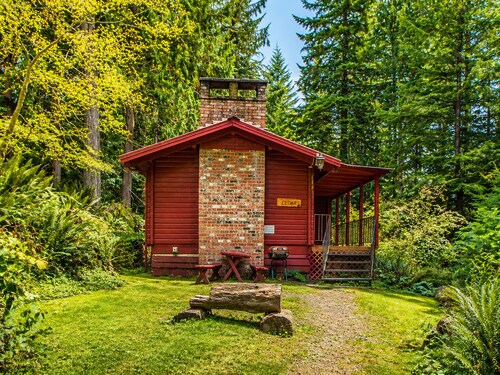 Cedar Cabin Near Mount Rainier, Cozy Forest Stay for 4
