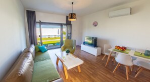Luxury Villa | Living area | TV - Luxury Villa in Mostar (Mostar)
