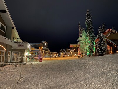 Cozy Big White Ski-In 1-bedroom condo. Sleeps 4-6+. RENOVATED! Pet-Friendly