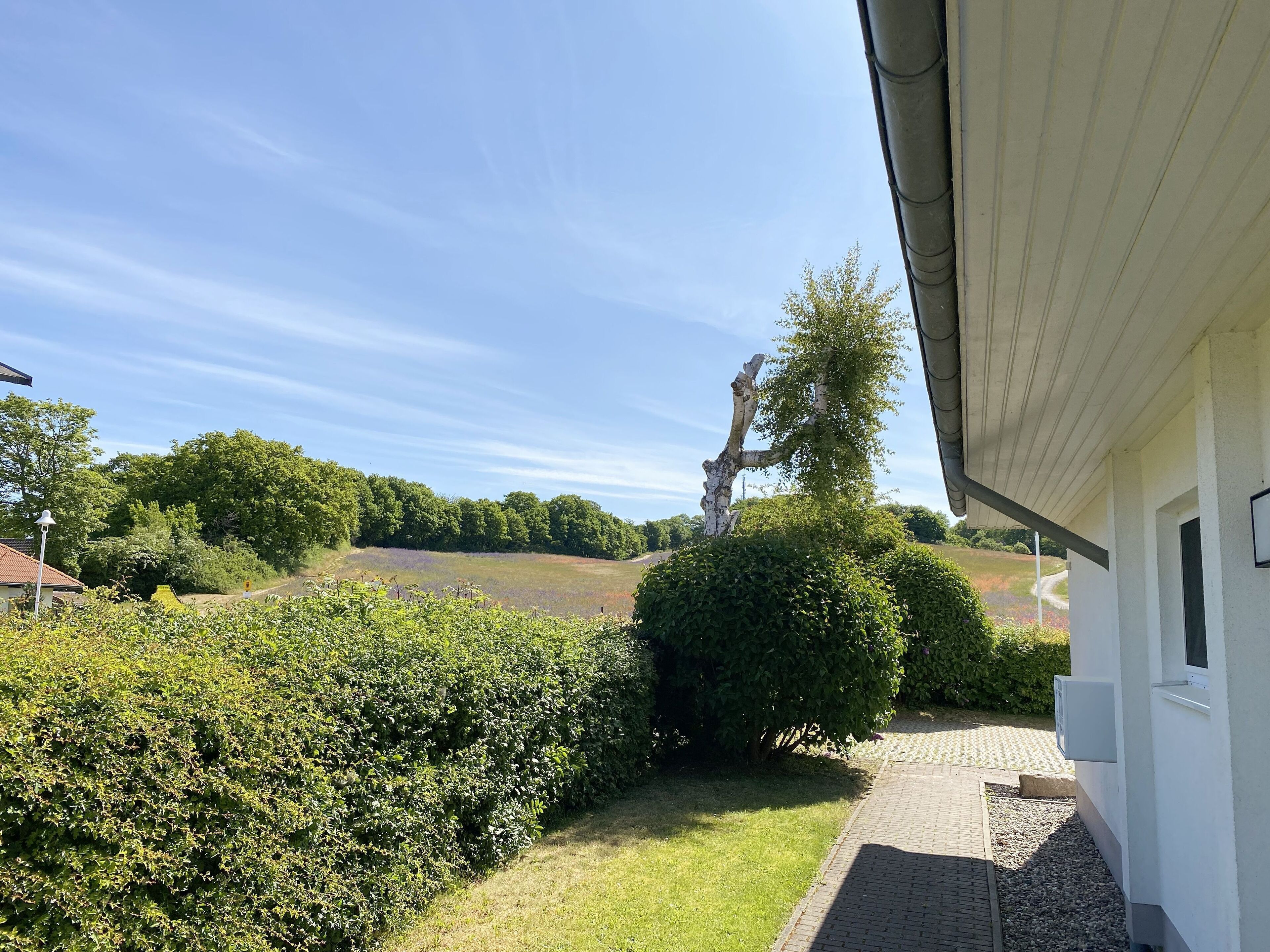 Vista di un giardino con un vialetto che conduce a un edificio, immerso nel verde e con cielo sereno.