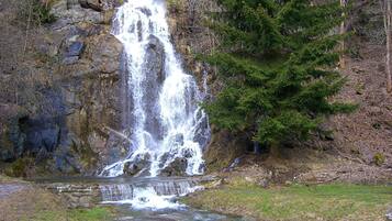 Ein Wasserfall stürzt über eine felsige Klippe in einen kleinen Bach, umgeben von Bäumen und einer grünen Wiese.
