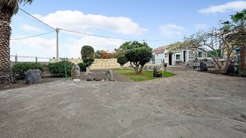 A paved courtyard with a stone wall, a palm tree, and a white building with a tiled roof.