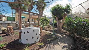 Un sendero en un jardín con una pérgola, palmeras y una jardinera blanca.