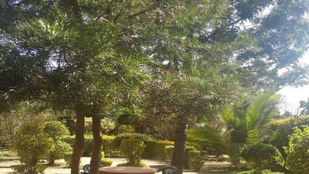 Zona d'estar a l'aire lliure amb taula rodona i cadires, envoltada d'arbres i arbustos ben cuidats.