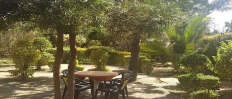 Jardin