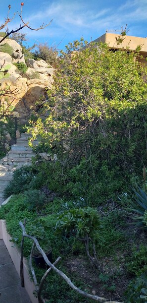Jardines del alojamiento
