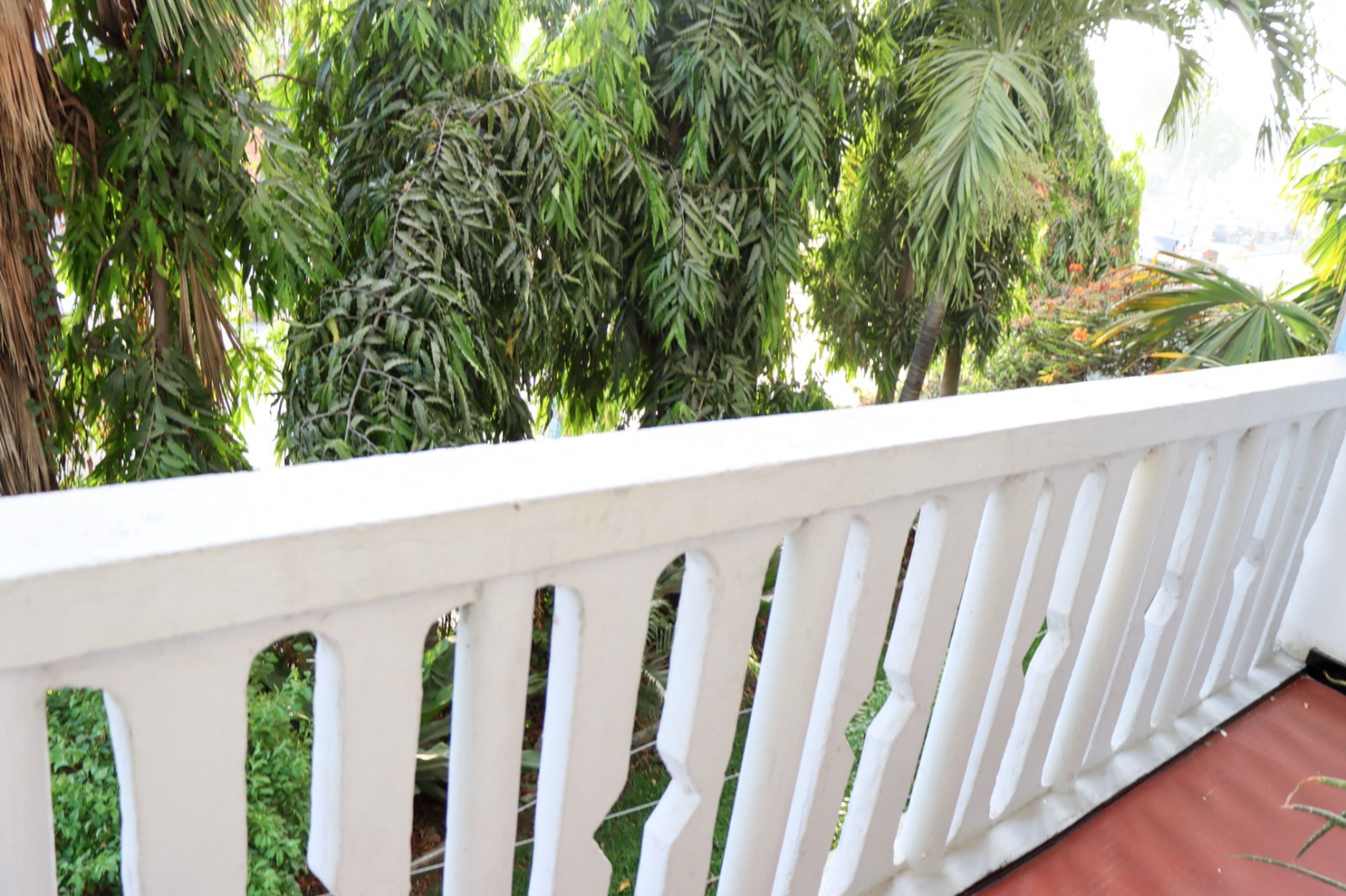A balcony with white railings overlooking a lush garden with various trees and plants.