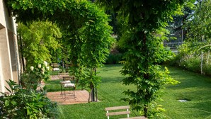 A patio area with outdoor seating and a well-maintained lawn.