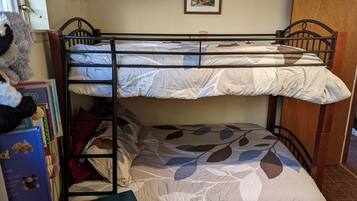 Cozy bunk bed room with a metal bed featuring a leaf-patterned mattress, a bookshelf, and a framed picture on the wall.