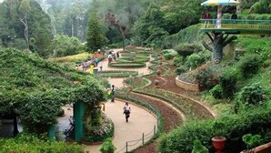 A lush garden with winding paths, a central walkway, and a viewing platform. - ONELOVEDALE Blusalz Homes (Ootacamund)