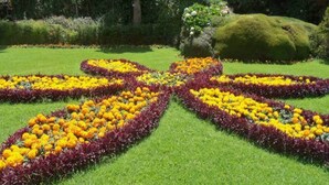 A garden with a geometric flower bed design. - ONELOVEDALE Blusalz Homes (Ootacamund)