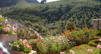 ONELOVEDALE Blusalz Homes