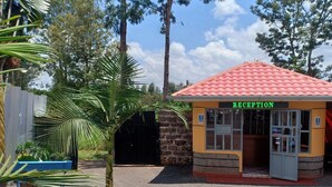 Un área de recepción con techo de tejas rojas, pared de piedra y un letrero que dice 'RECEPTION'.