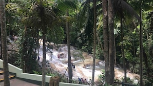 Property grounds - Tropical Getaway, Seaview, and Pool- In Ocho Rios (Ocho Rios)