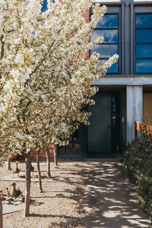 Exterior - Mews Cottages (New Gisborne)
