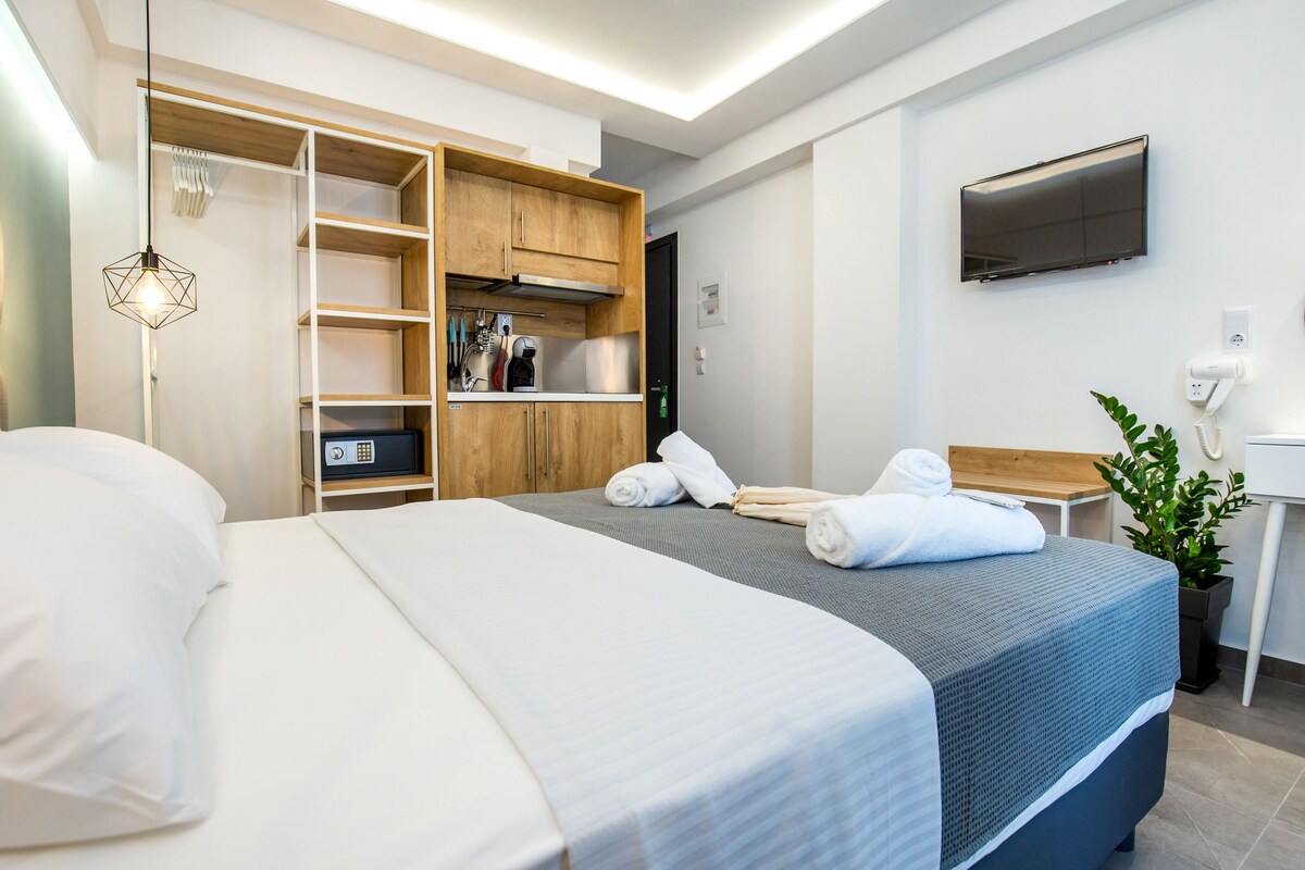 Habitación de hotel moderna con una cama grande, armario empotrado, escritorio con silla, televisor y una planta en maceta.