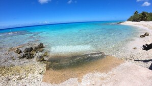 A beach with clear turquoise water, pebbly shore, and a few palm trees in the background. - Moana Breeze Eco Lodge (Rangiroa)