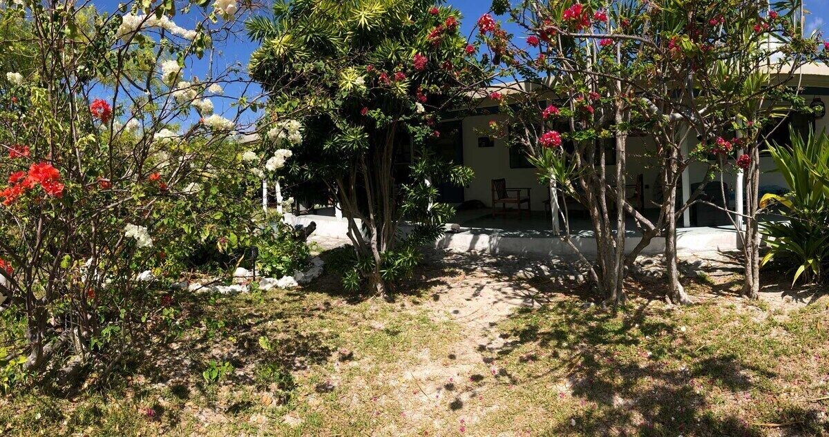 Um jardim com diversas plantas e flores, um caminho que leva a um edifício, e um céu azul límpido.