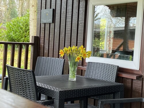 Caban Coetir - Spacious lodge in stunning woodland location 🐾✅