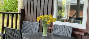 Caban Coetir - Spacious lodge in stunning woodland location 🐾✅