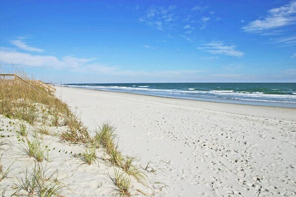 Playa en los alrededores 
