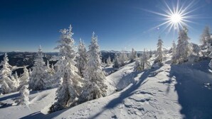 A snowy mountain landscape with snow-covered trees and a clear sky. - Rösslgut (Zederhaus)