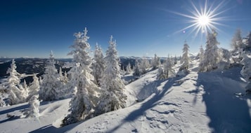 Deportes de invierno