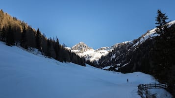 Camino nevado en la montaña con una valla de madera y árboles.