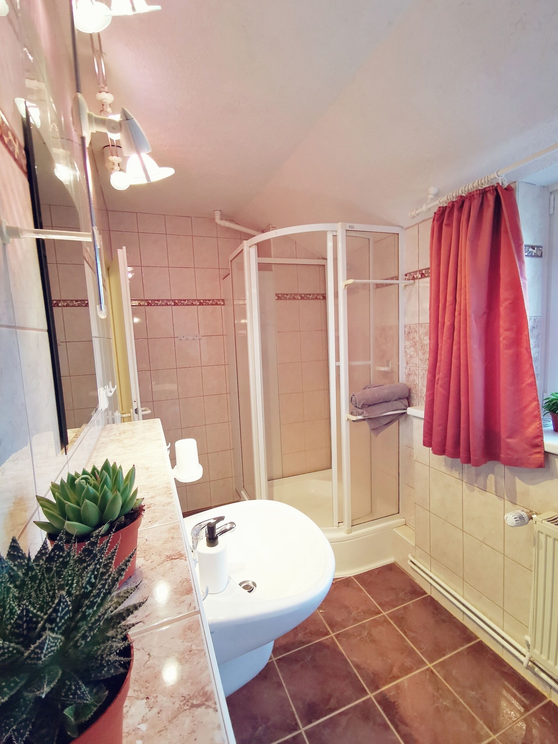 Dusche, Handtücher, Seife, Toilettenpapier