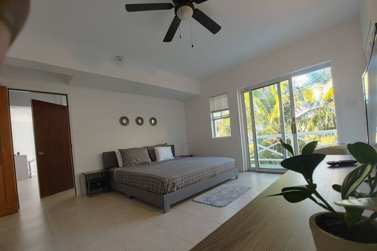 A modern bedroom with a bed, a ceiling fan, a large window with a view of palm trees, and a potted plant on a wooden table.