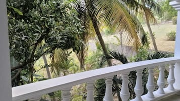 Suite empresarial | Terraza o patio