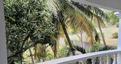 Chez Mango Villas