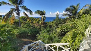 A staircase leading to a balcony overlooking a lush tropical landscape with palm trees and a view of the ocean. - Chez Mango Villas (Old Towne)