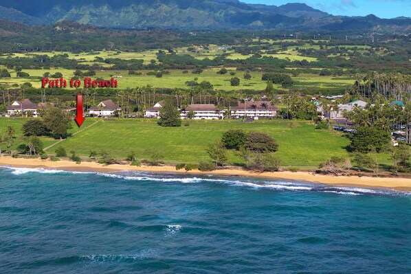A coastal landscape with a path leading to a beach, surrounded by green fields and houses.