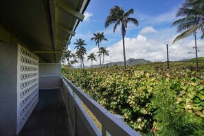 施設の敷地