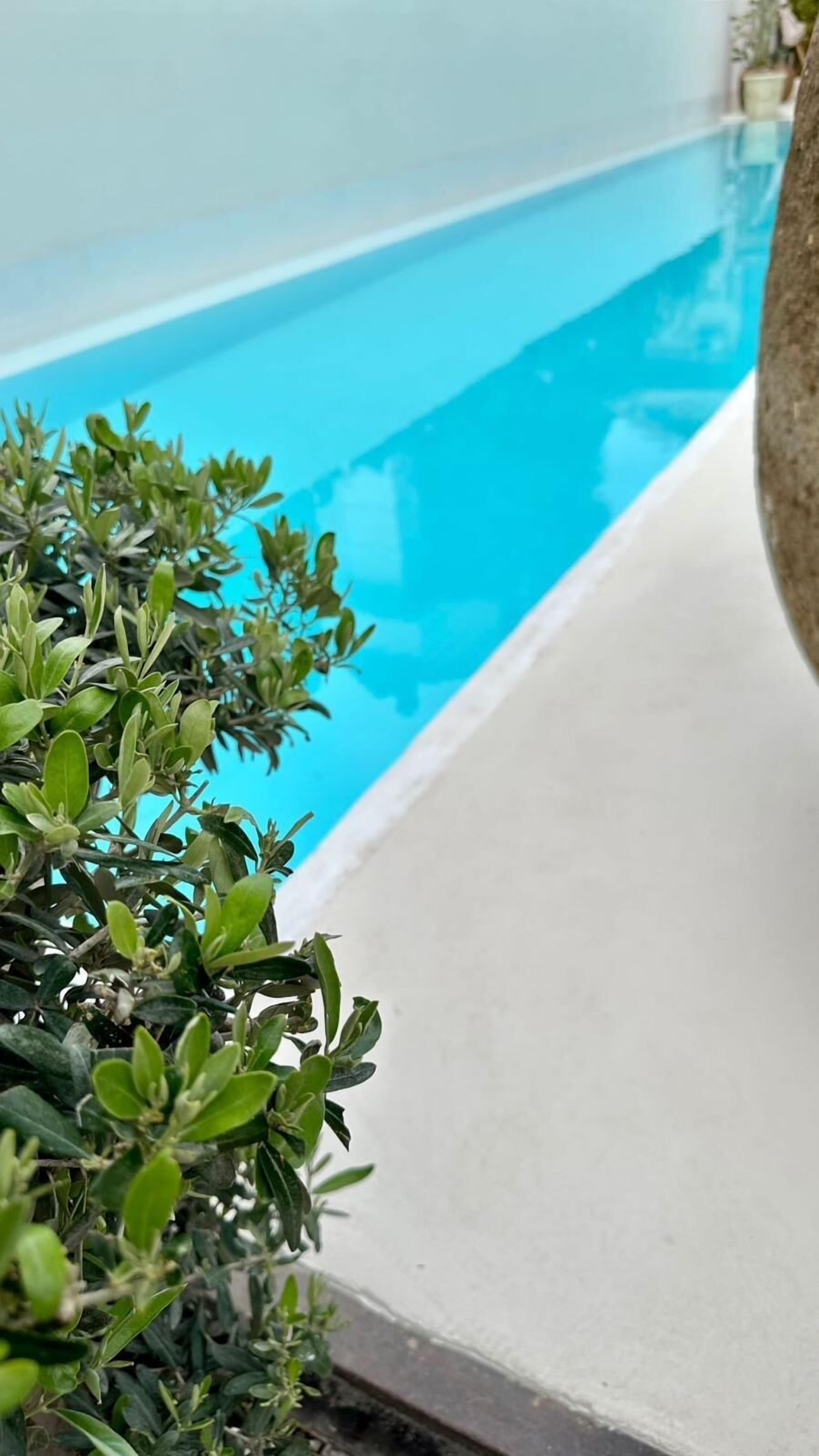 Una piscina con agua azul cristalina, rodeada por un borde de concreto y una planta de hojas verdes.