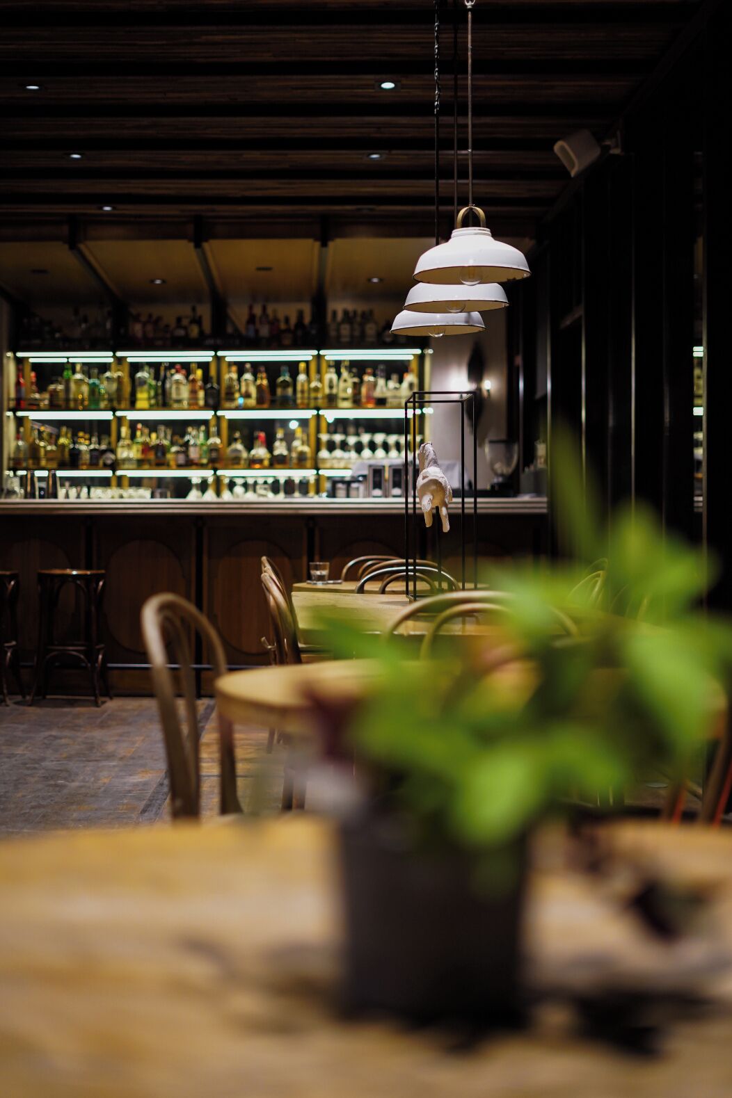 Zona de bar con una lámpara colgante y una estantería llena de botellas.