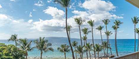 Une vue sur la plage, avec des palmiers et un ciel dégagé.