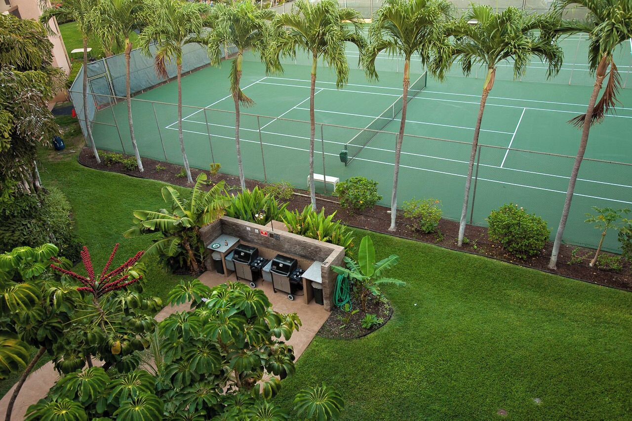 Sport court