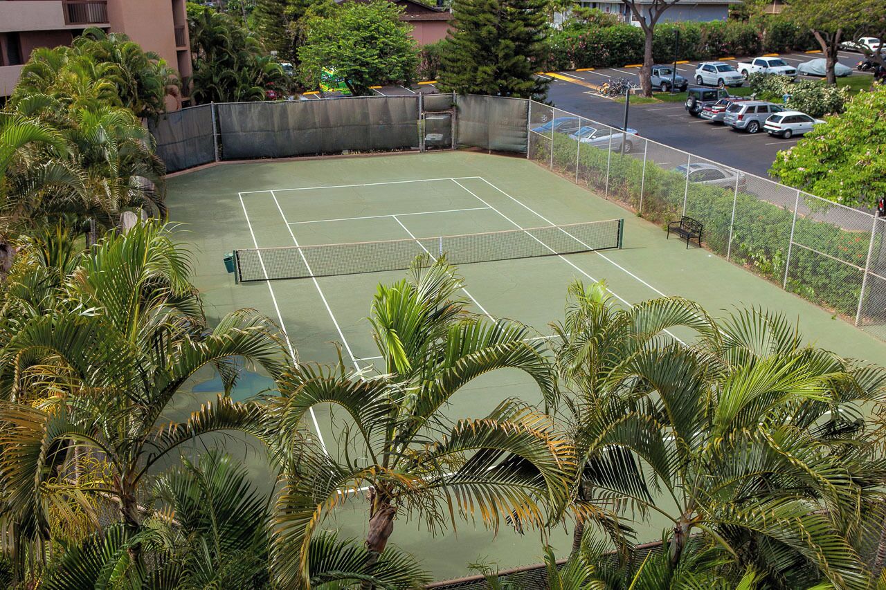 Sport court