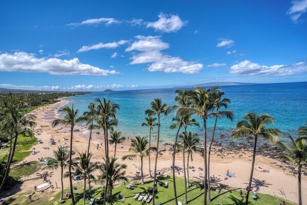 A beach with palm trees, a clear sky, and a view of the ocean.