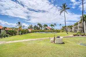 A well-maintained lawn with a seating area, palm trees, and a pool in the background.