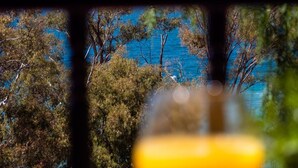 A view through a window with a blurred foreground, featuring a body of water and trees.