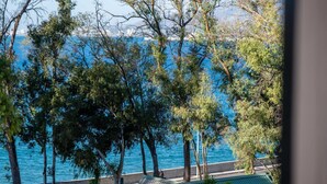 A coastal view with trees and a clear blue sea.
